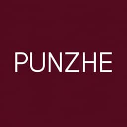 punzhe_dress