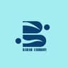 Baran.drycleaning