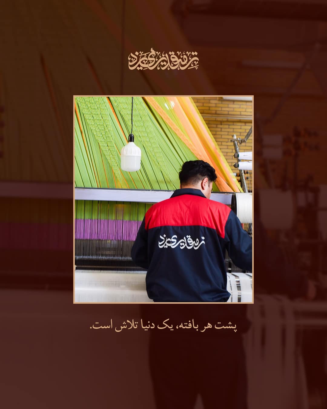 تصویر پست از @termehghadirii