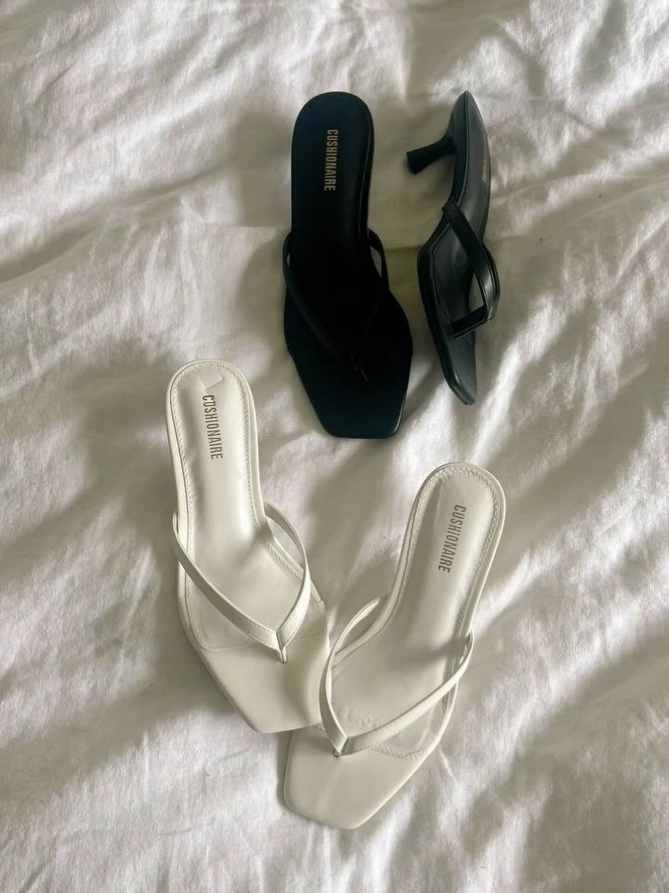 تصویر پست از @monarchshoe — 1/1