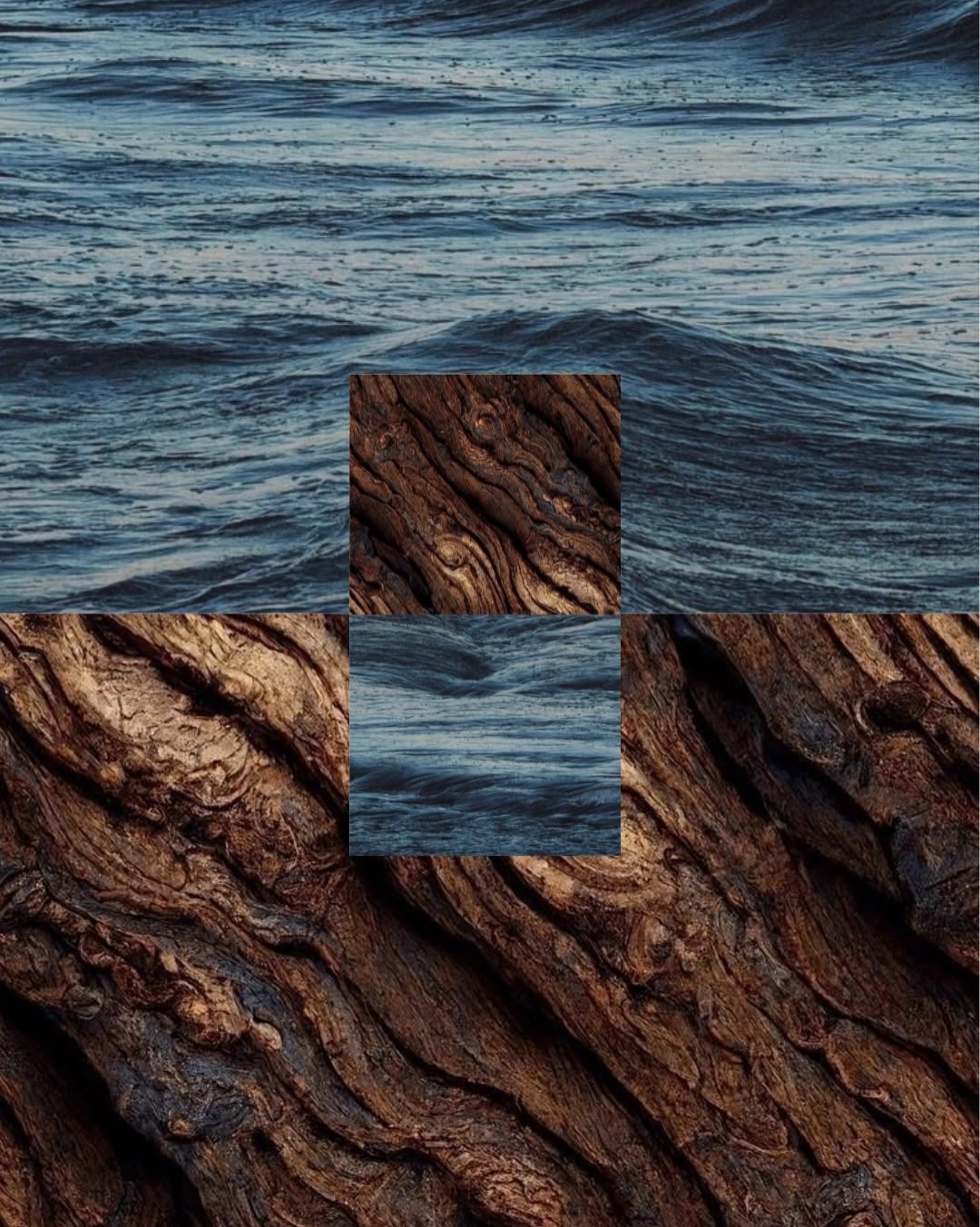 تصویر پست از @monarchshoe — 2/3