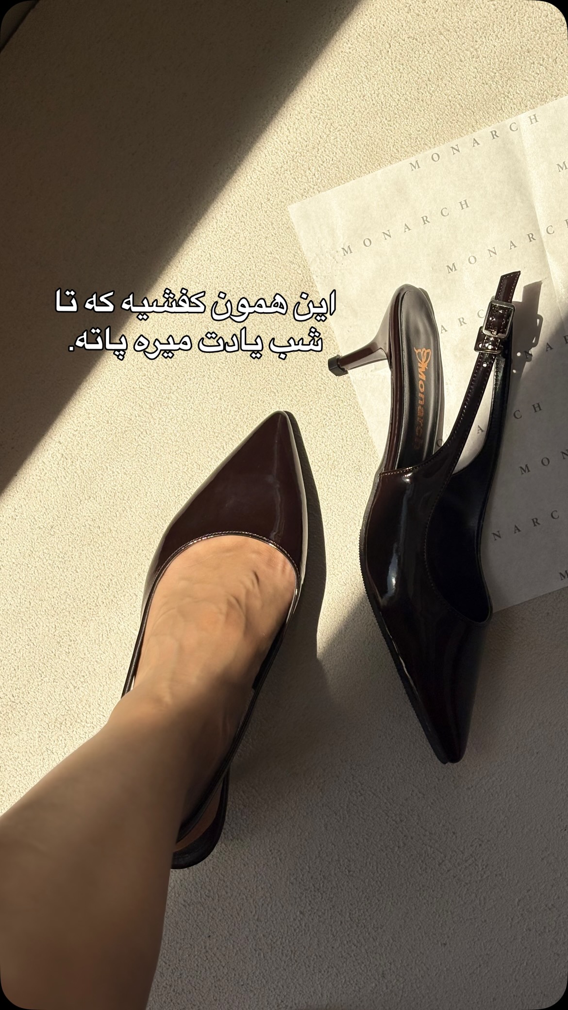 تصویر پست از @monarchshoe — 1/1